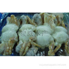 celý očištěný písečný krab